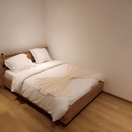 Fribourg Apartment Колмар Екстериор снимка