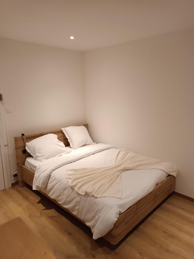 Fribourg Apartment Колмар Екстериор снимка